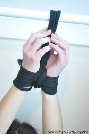 Tied Virgins offers a free photo gallery with Sapphire xxx gallery 225731